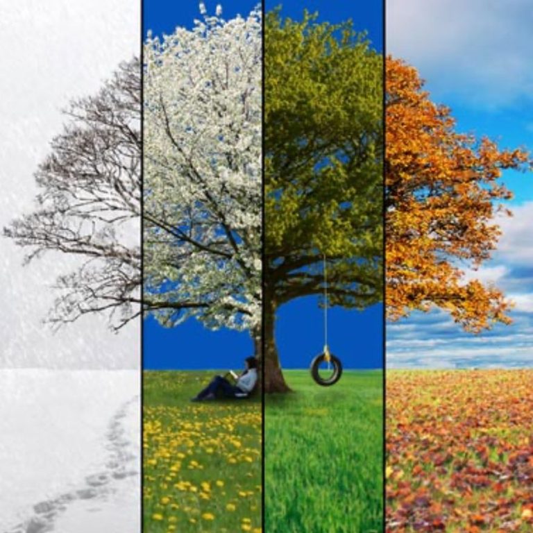 Seasonal Seasonal